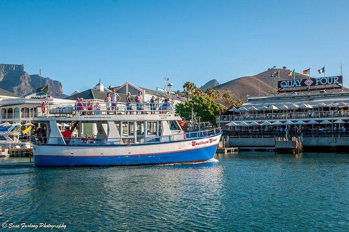 Half Hour Seal and Harbour Cruise from Cape Town - Photo 1 of 13